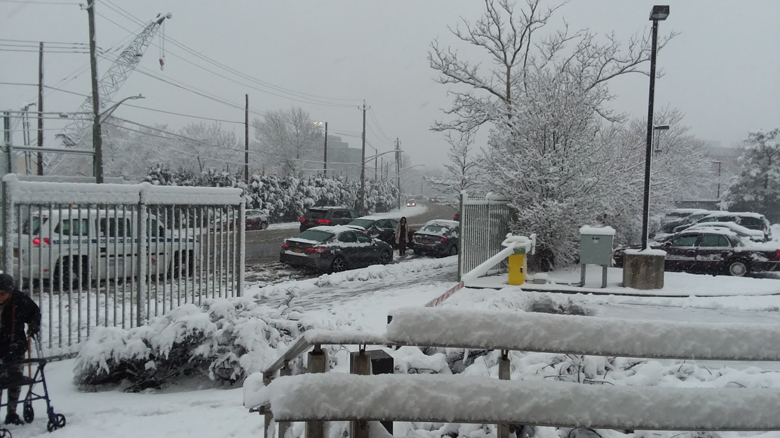 Albert Einstein Wellness Center